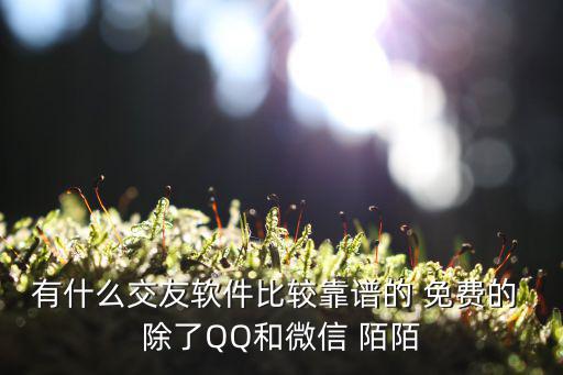 有什么交友软件比较靠谱的 免费的 除了QQ和微信 陌陌