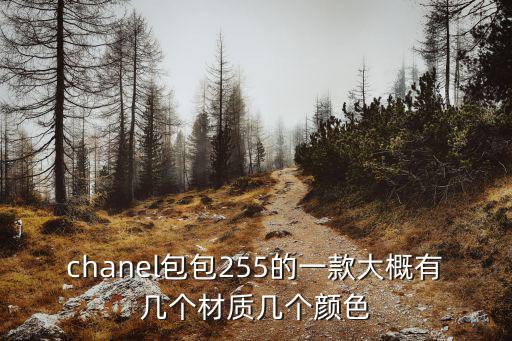 chanel包包255的一款大概有几个材质几个颜色
