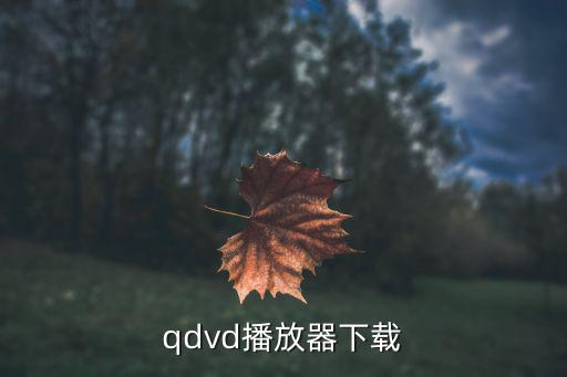 全景视频播放器 下载，qdvd播放器下载
