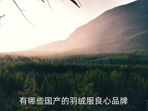 羽绒服哪个牌子最好国产，大家觉得国产羽绒服品牌哪个好一点