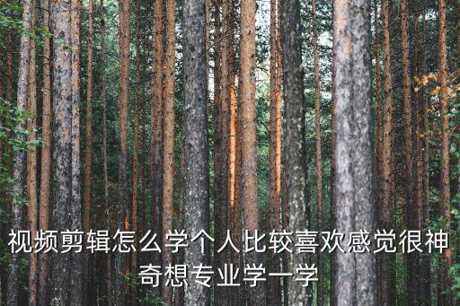 视频剪辑怎么学个人比较喜欢感觉很神奇想专业学一学