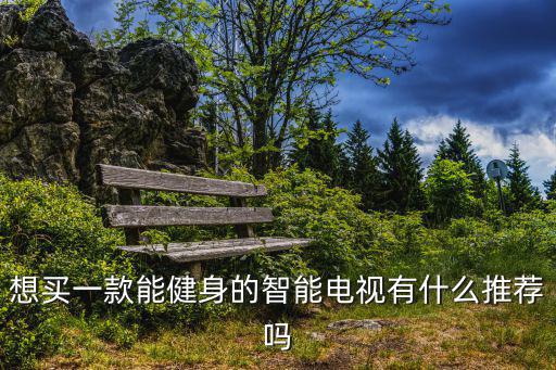 智能健身类产品，哪家公司有运动公园里的智慧健身跑道产品急等回复