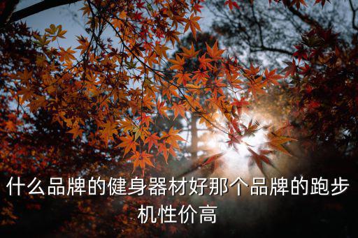 跑步机哪个牌子质量好多少钱，什么品牌的健身器材好那个品牌的跑步机性价高