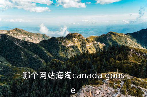 哪个网站海淘canada goose