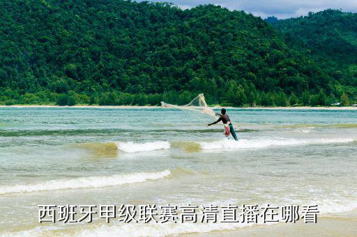 斯洛伐克vs西班牙直播，今晚欧洲杯西班牙vs斯洛伐克 有亚洲盘口推荐的吗