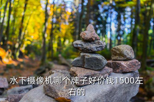 水下摄像机哪个牌子好价钱1500左右的