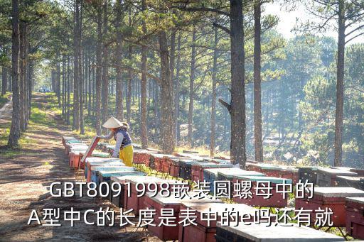 GBT8091998嵌装圆螺母中的A型中C的长度是表中的e吗还有就