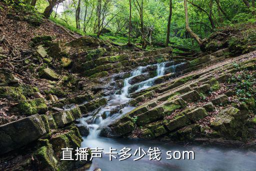直播声卡多少钱 som