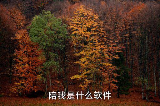 陪陪我APP，陪我是什么软件