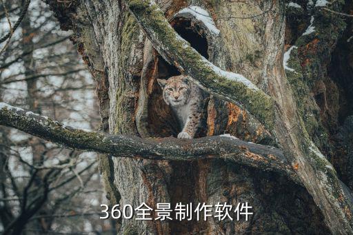 360全景制作软件