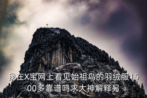 始祖鸟户外羽绒服，薄如蝉翼的始祖鸟户外运动衣真的保暖吗