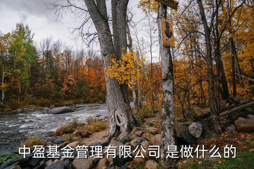 中盈基金管理有限公司 是做什么的