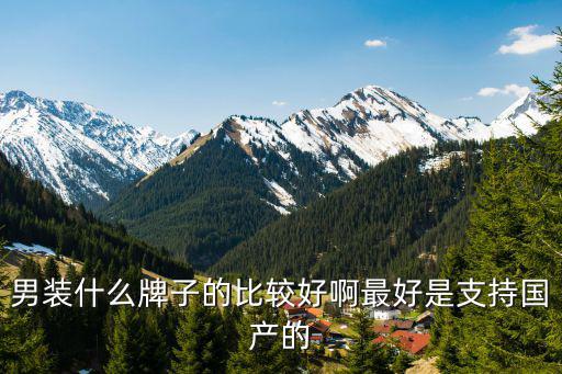 男装什么牌子的比较好啊最好是支持国产的