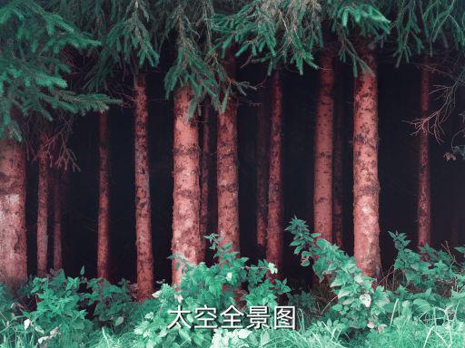 太空全景图片，宇宙不是无边的吗怎么会拍到宇宙全景图呢