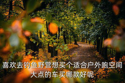 喜欢去钓鱼野营想买个适合户外跑空间大点的车买哪款好呢