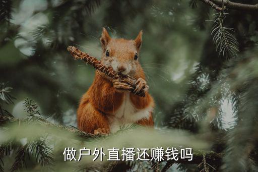 做户外直播还赚钱吗