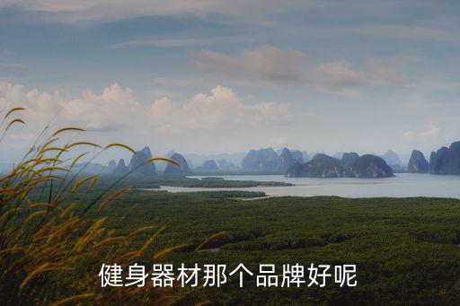 健身器材那个品牌好呢