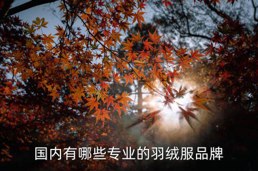 国内有哪些专业的羽绒服品牌