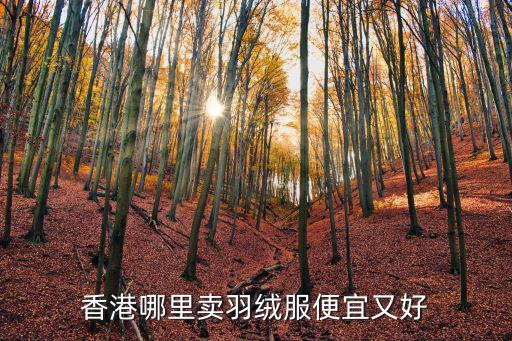 香港哪里卖羽绒服便宜又好