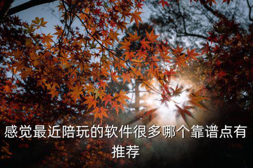 比较火的陪玩app，游戏陪玩app有哪些