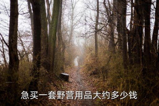 军用帐篷多少钱一套，急买一套野营用品大约多少钱
