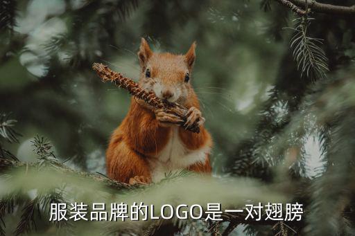 衣服品牌logo大全女装图片，女士品牌标志