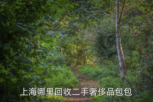 上海哪里回收二手奢侈品包包