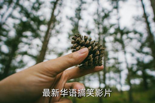 最新华语搞笑影片
