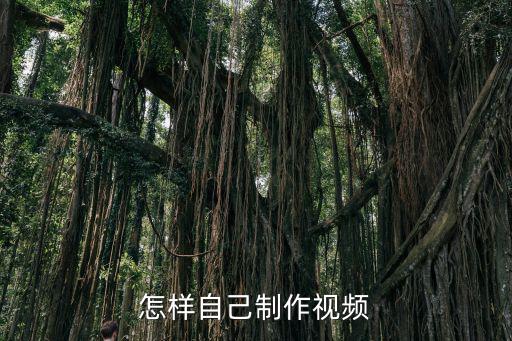 怎样自己制作视频