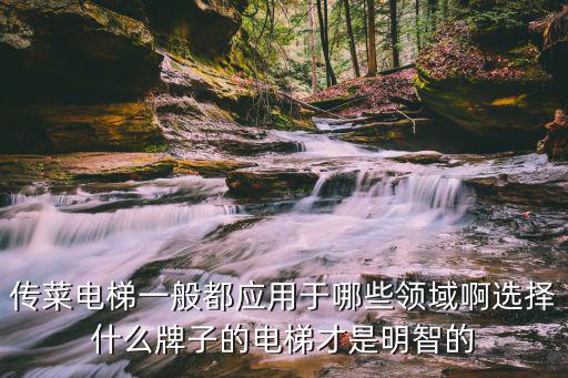 传菜电梯一般都应用于哪些领域啊选择什么牌子的电梯才是明智的