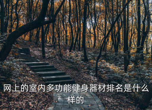 网上的室内多功能健身器材排名是什么样的