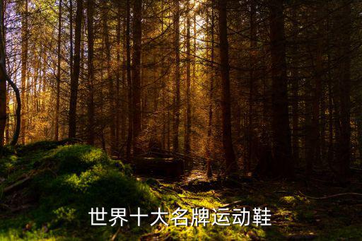 世界十大名牌运动鞋