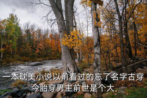 一本耽美小说以前看过的忘了名字古穿今胎穿男主前世是个大