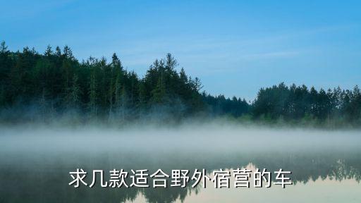 求几款适合野外宿营的车
