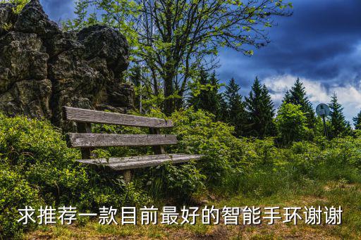 求推荐一款目前最好的智能手环谢谢