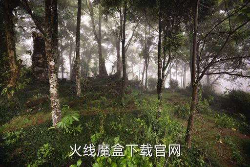 火线魔盒下载官网