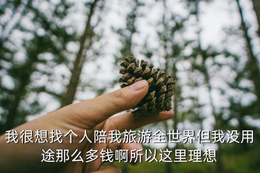 想找个人能陪我一起去旅游的，去哪里能找到单独出去旅游的人结伴