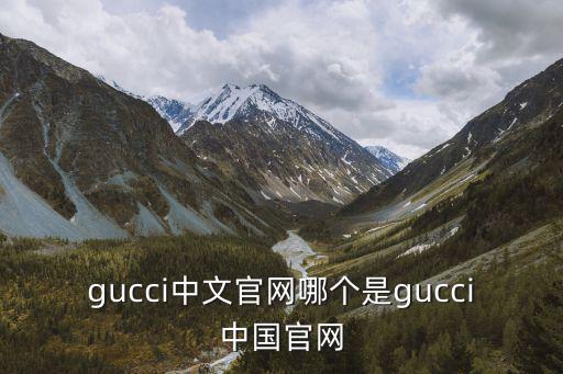 gucci官网中国官方网包包，gucci中文官网网站能买到包吗