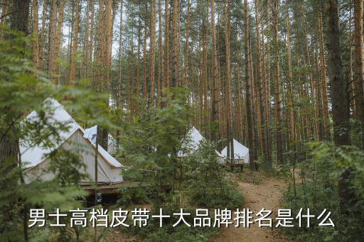 奢侈品牌logo大全 皮带，要所有奢侈品牌的的logo图片