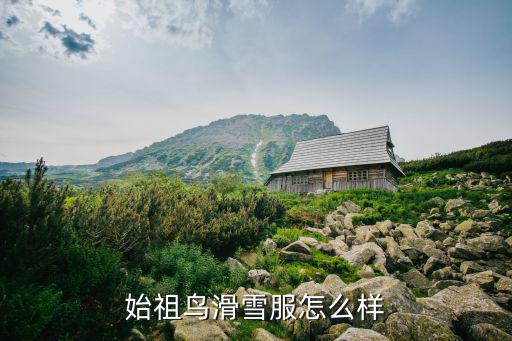 户外第一品牌始祖鸟，始祖鸟运动衣是哪个国家品牌