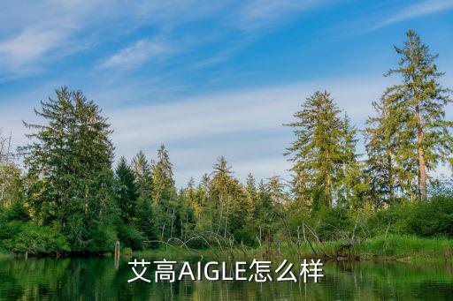 艾高AIGLE怎么样