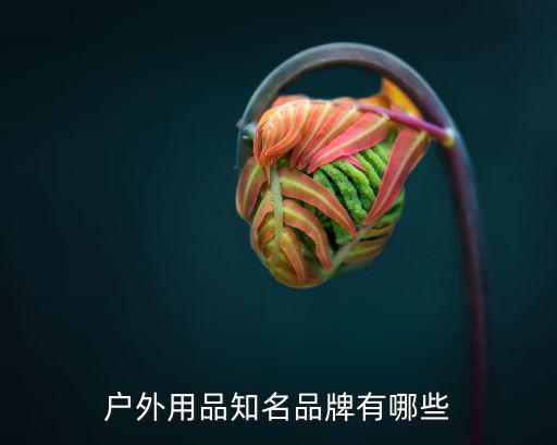 户外用品品牌大全图标及名称，户外用品知名品牌有哪些