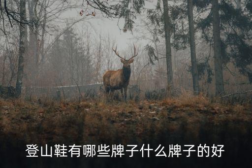 登山鞋有哪些品牌推荐一下，什么牌子的登山鞋好