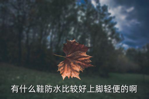 防水的鞋子有哪些品牌，有什么鞋防水比较好上脚轻便的啊