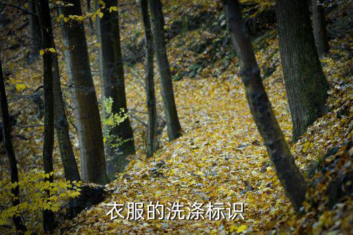 休闲衣服标志图案大全，服装标签常附有各种洗涤标志请说明各种洗涤标志所表示的意义
