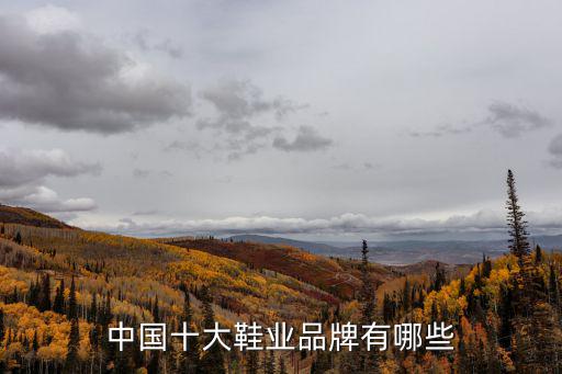 中国十大鞋业品牌有哪些