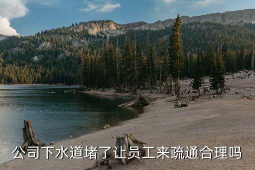 公司下水道堵了让员工来疏通合理吗