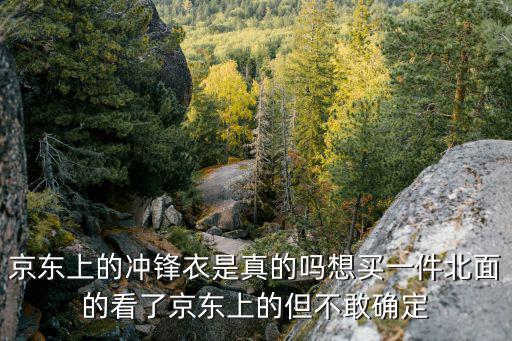 京东上的冲锋衣是真的吗想买一件北面的看了京东上的但不敢确定