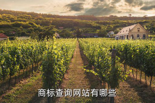 商标查询网站有哪些