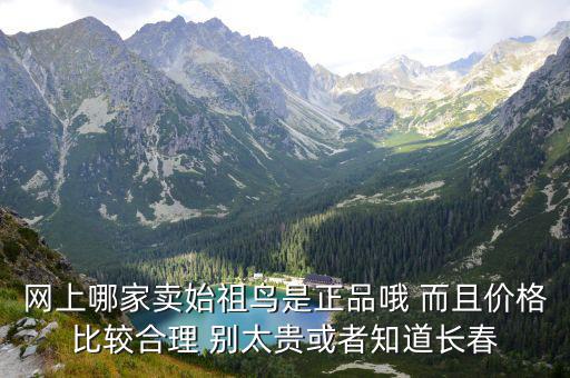 始祖鸟官方网站购买，网上哪里买始祖鸟 t恤好